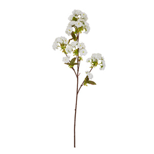 Tall White Blossom_5586