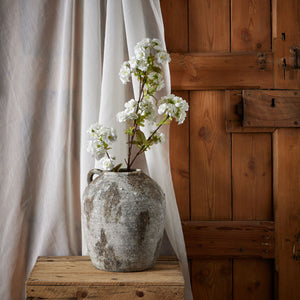 Tall White Blossom_5587