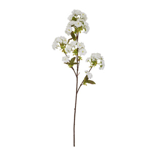 Tall White Blossom_5588