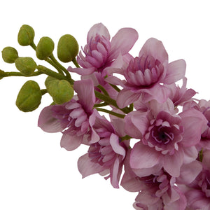 The Natural Garden Collection Elatum Delphinium_5660