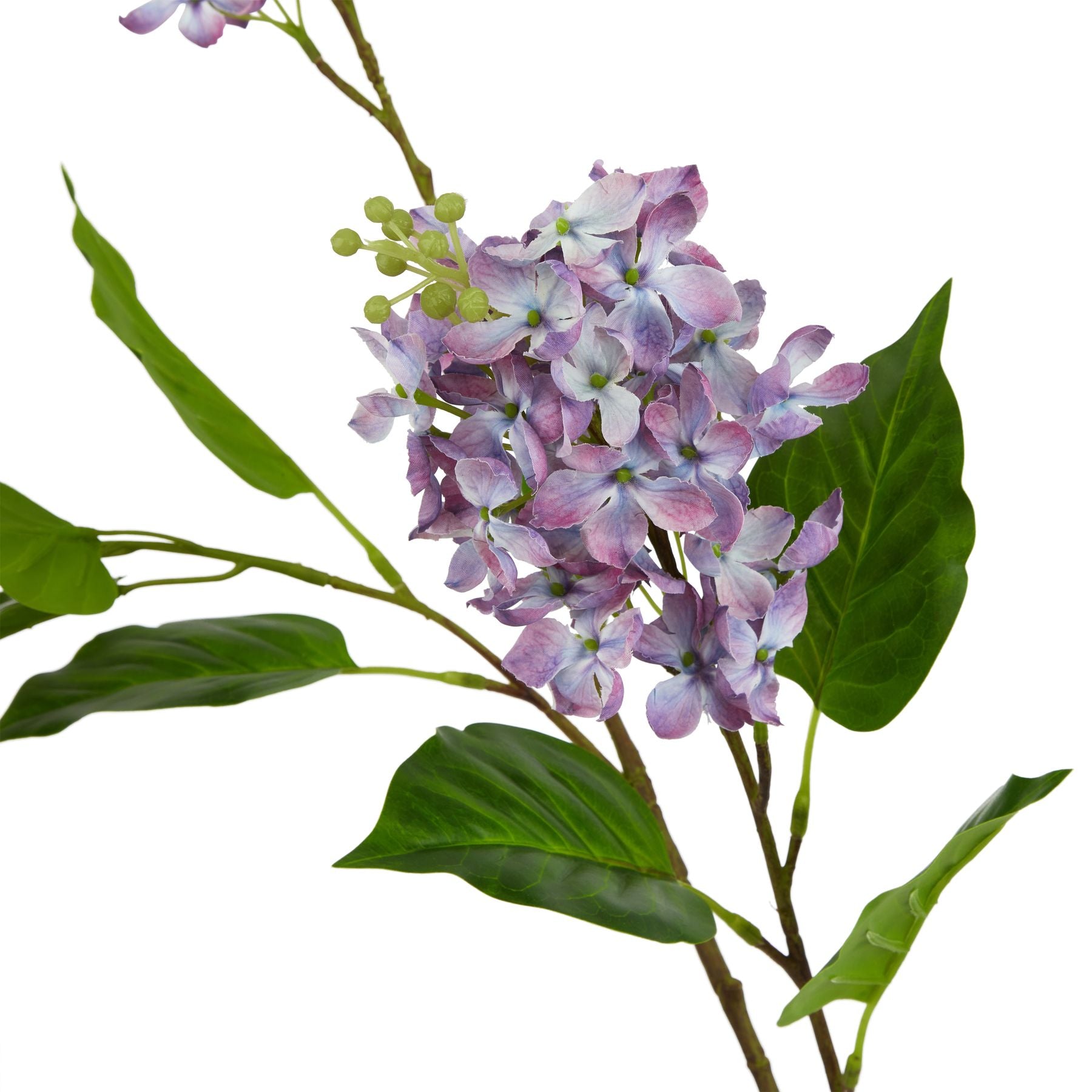 The Natural Garden Collection Purple Lilac Stem_5666