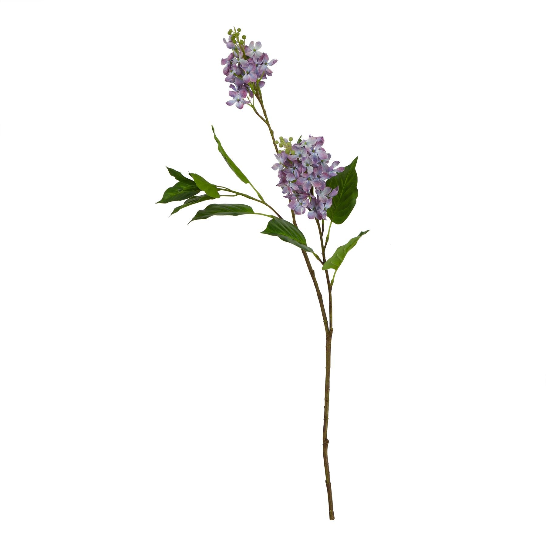 The Natural Garden Collection Purple Lilac Stem_5665