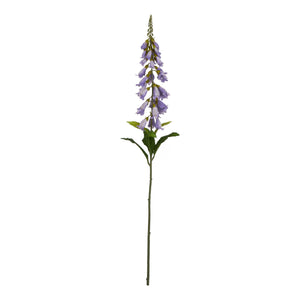 The Natural Garden Collection Mauve Foxglove_5614