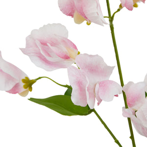 The Natural Garden Collection Pale Pink Sweetpea Stem_5636
