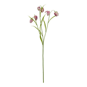 The Natural Garden Collection Purple Fritillaria Stem_5663