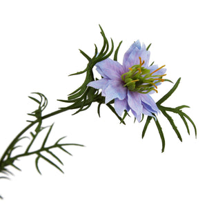The Natural Garden Collection Purple Nigella Love In A Mist_5668