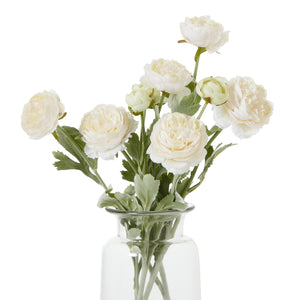 The Natural Garden Collection Ranunculus_5605