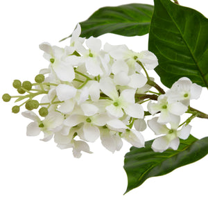 The Natural Garden Collection White Lilac Stem_5697