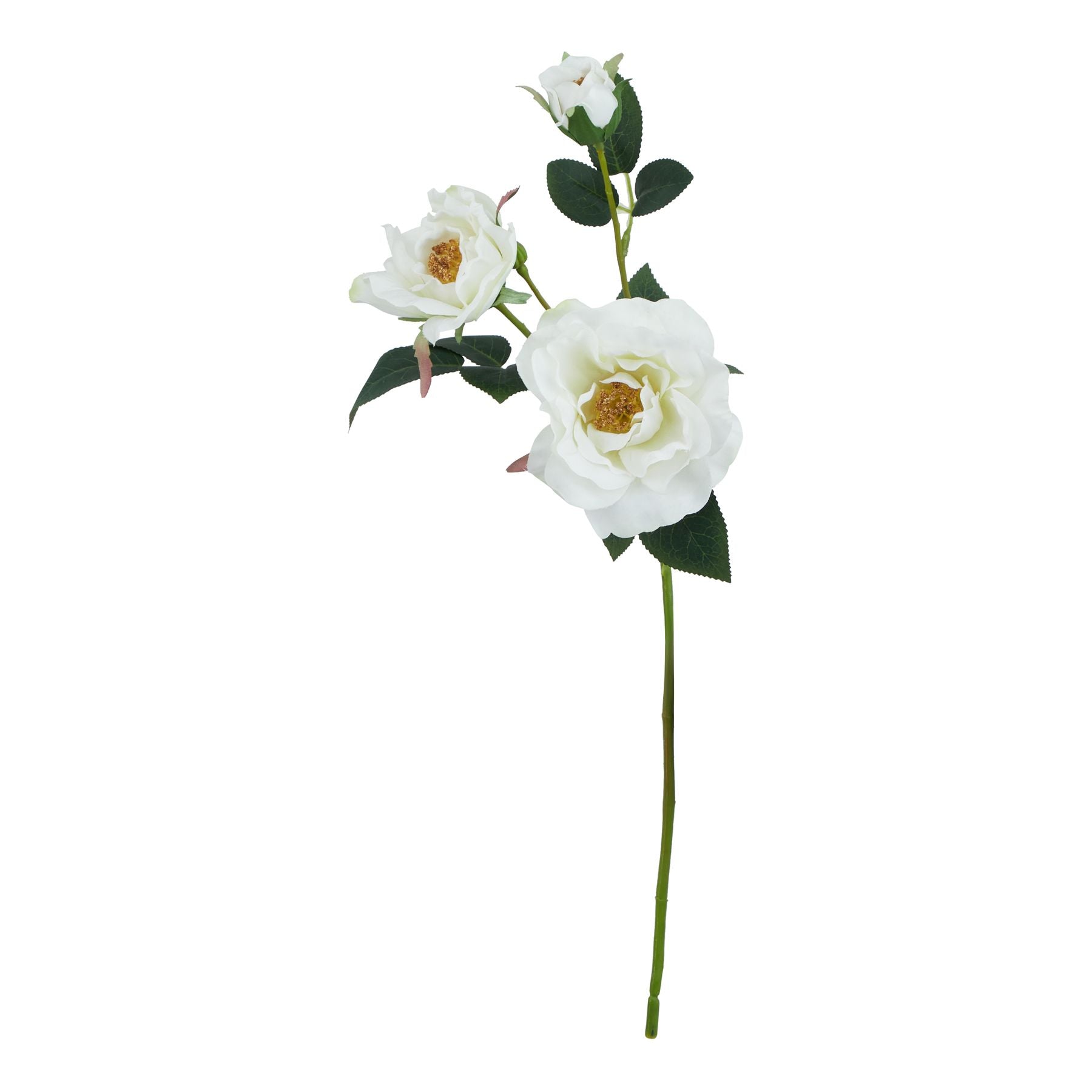 The Natural Garden Collection White Tea Rose_5726