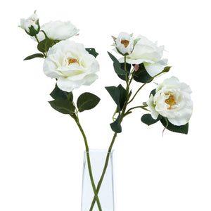 The Natural Garden Collection White Tea Rose_5728