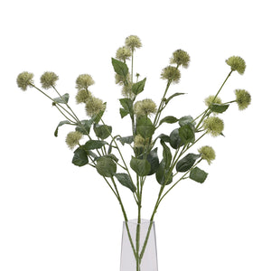Thistle Globe Stem_5736