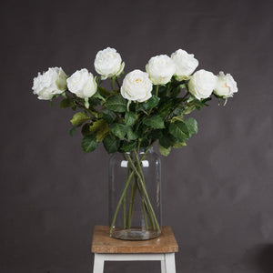 Traditional White Rose_5742