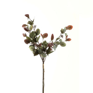 Variegated Eucalyptus Bouquet_5756