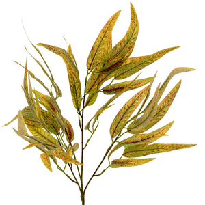 Variegated Long Leaf Eucalyptus Spray_5761