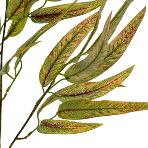 Variegated Long Leaf Eucalyptus Spray_5763