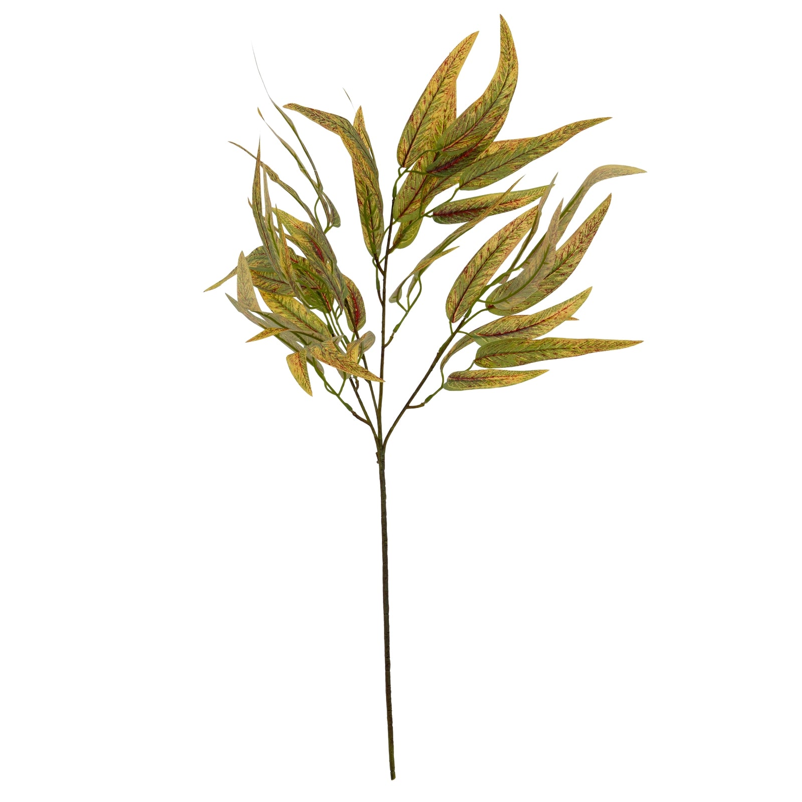 Variegated Long Leaf Eucalyptus Spray_5762