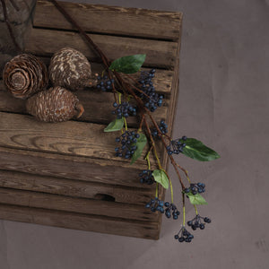 Viburnum Berry_5775