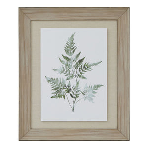 Watercolour Bracken Fern In Washed Wood Frame_3932