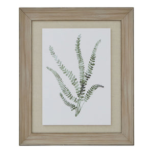 Watercolour Delicate Fern In Washed Wood Frame_3937