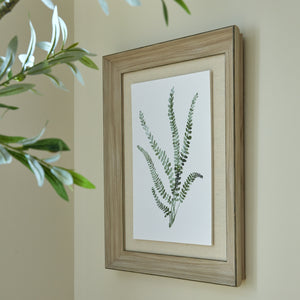 Watercolour Delicate Fern In Washed Wood Frame_3940