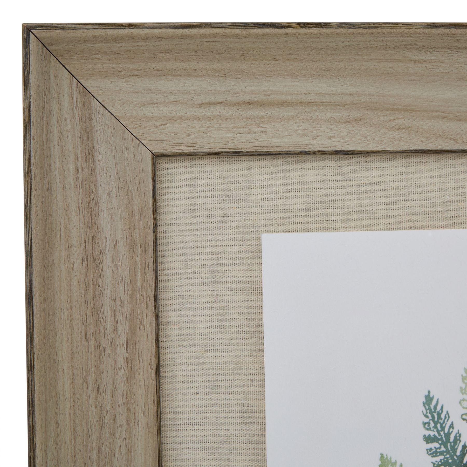 Watercolour Fern Duo In Washed Wood Frame_3942