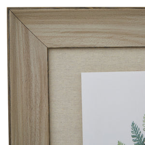 Watercolour Fern Duo In Washed Wood Frame_3942