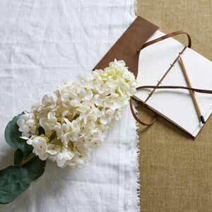 White Spear Hydrangea_5784