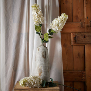White Spear Hydrangea_5786