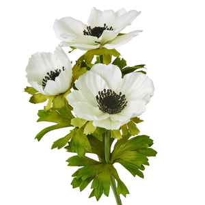 White Anemone Spray_5801