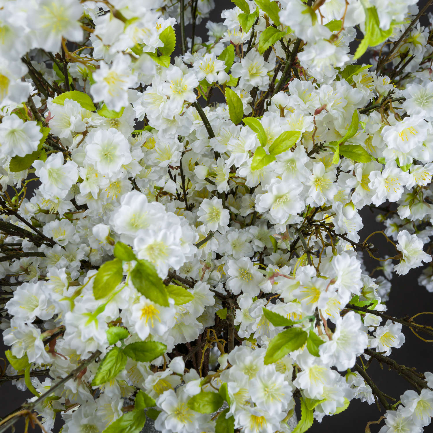 White Cherry Blossom Spray_5811