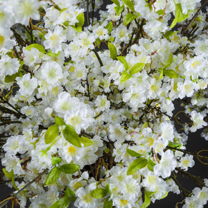 White Cherry Blossom Spray_5811