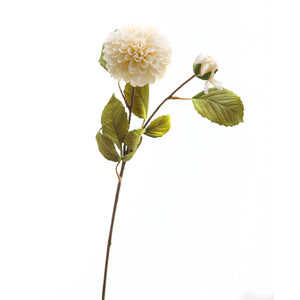 White Dahlia Stem_5827