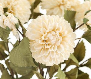 White Dahlia Stem_5828