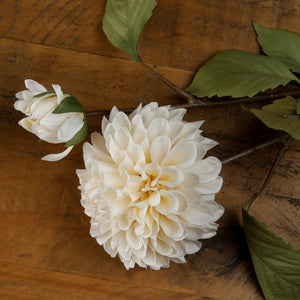 White Dahlia Stem_5826