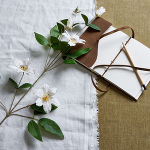 White Florida Clematis_5839