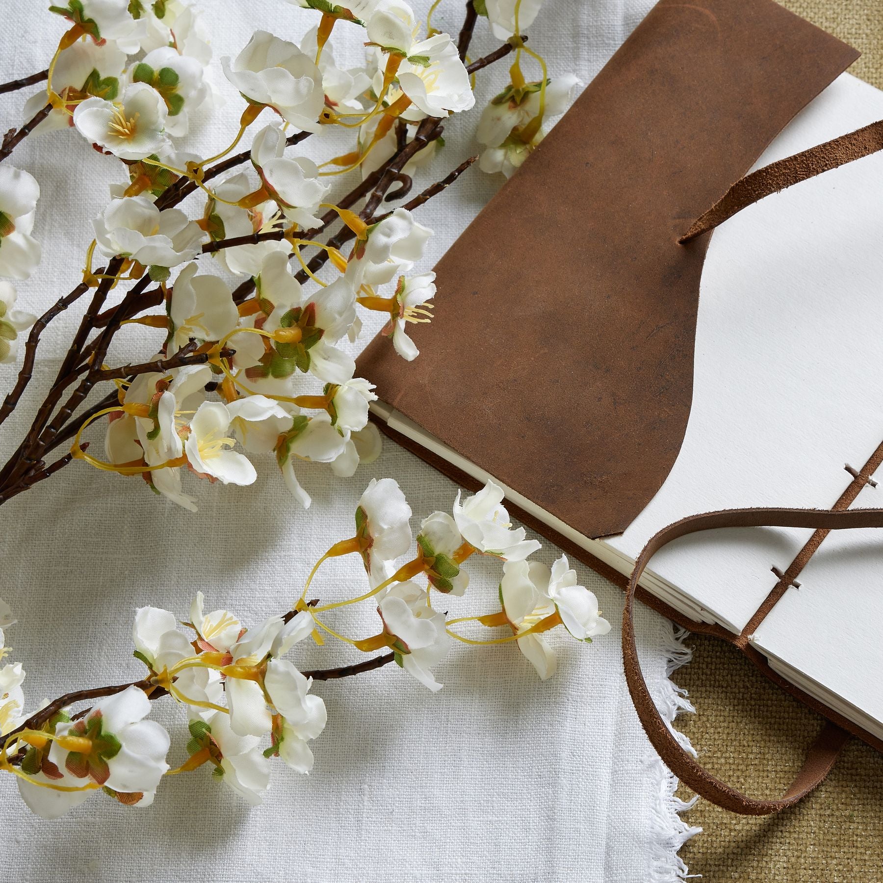 White Japanese Blossom_5887