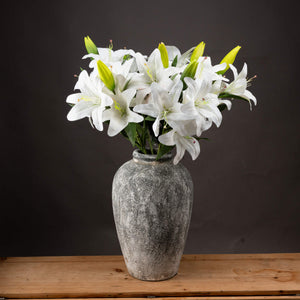 White Lily_5896