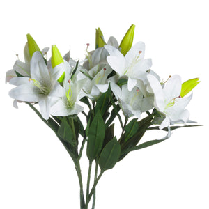 White Lily_5898