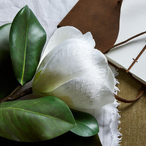 White Magnolia Stem_5910