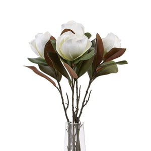 White Magnolia Stem_5913
