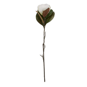 White Magnolia Stem_5912