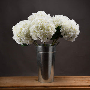 Oversized Hydrangea_5316