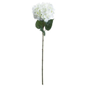 Single Hydrangea_5514