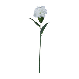 White Small Head Hydrangea_5941