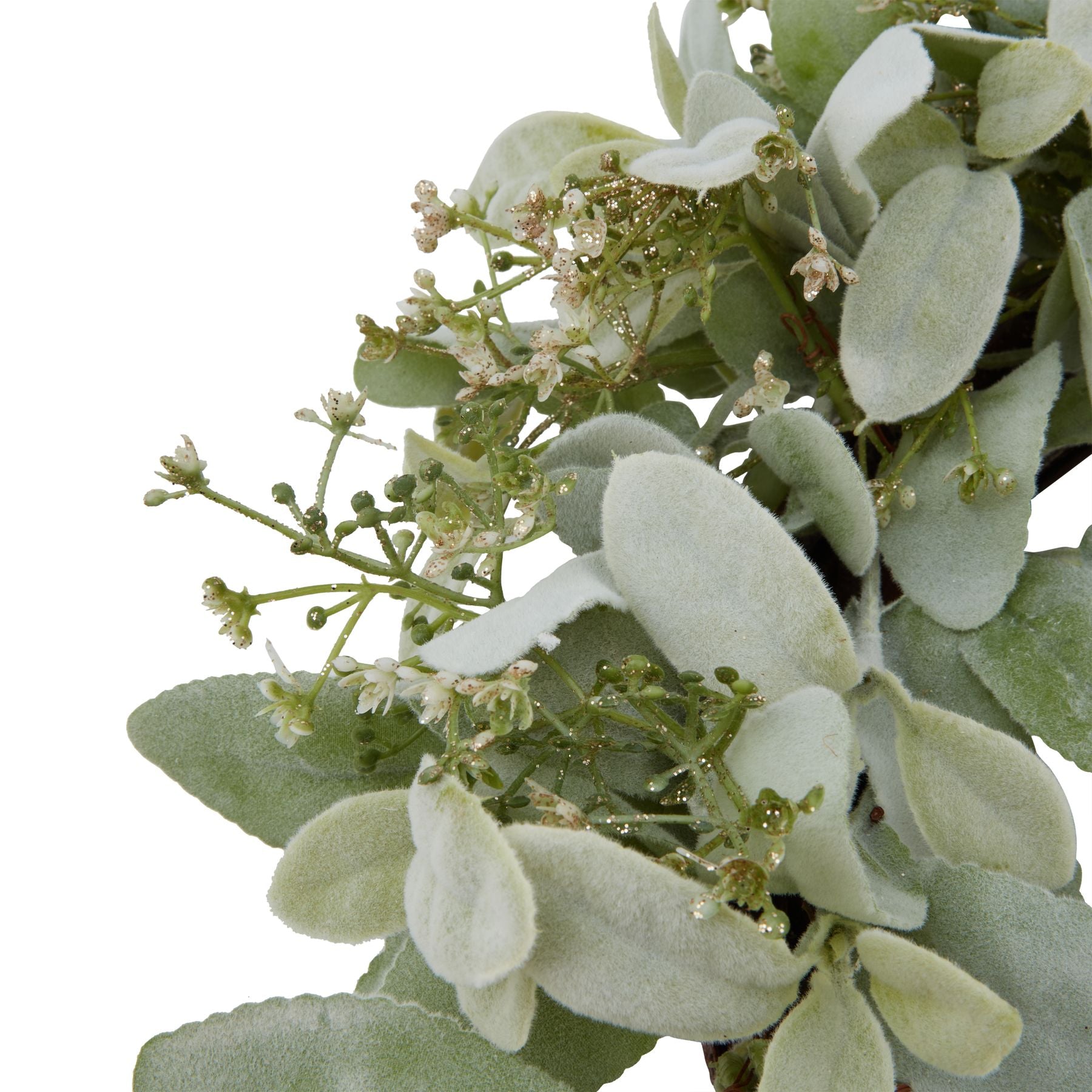 Winter Wreath With Lambs Ear And Wax Flower_3670