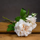 Single Stem Flowers