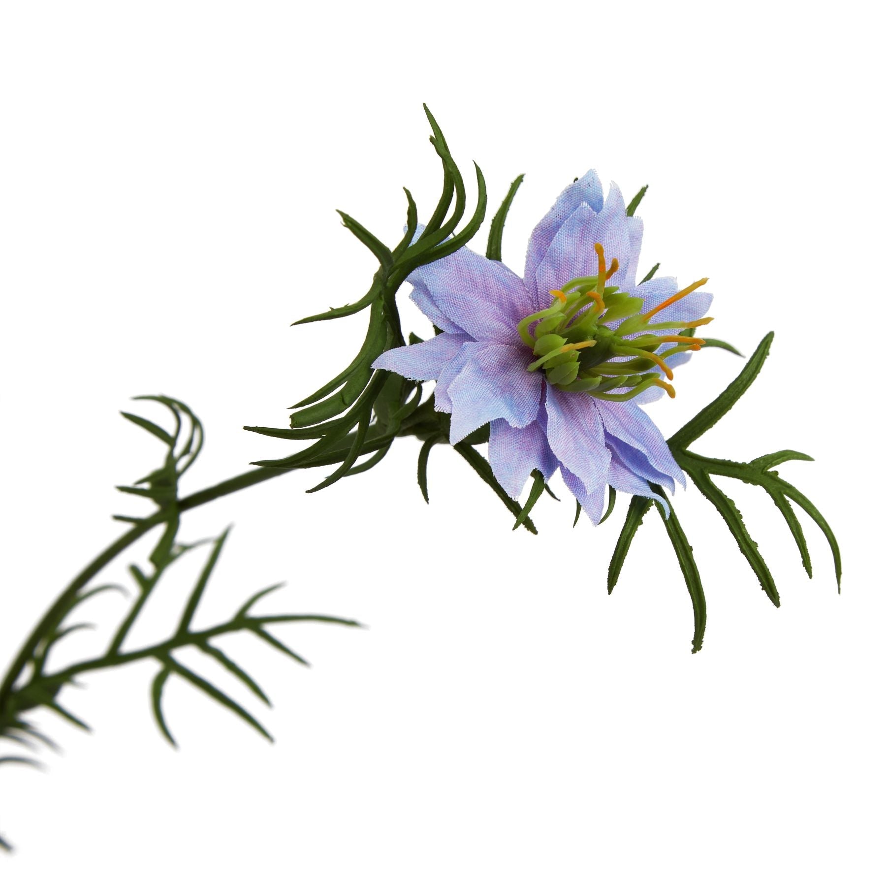 The Natural Garden Collection