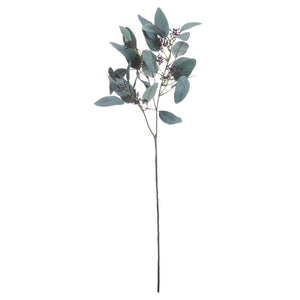 Seeded Eucalyptus Stem [cid:20493-b]