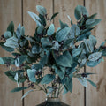 Seeded Eucalyptus Stem [cid:20493]