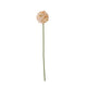 The Natural Garden Collection White & Apricot Allium_5677